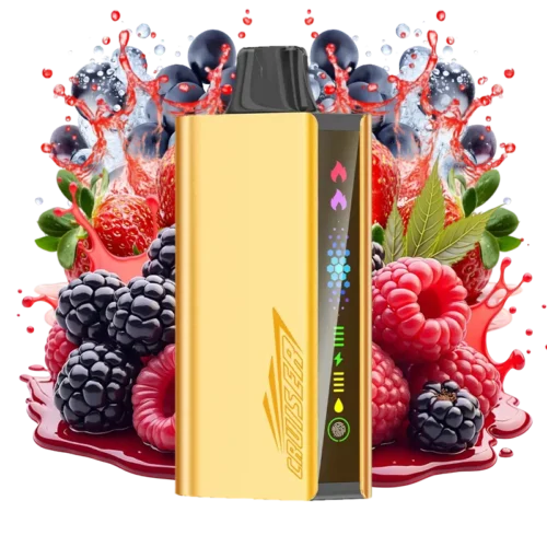 JNR Cruiser Quadruple Berry
