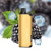 Alibarbar Ingot 9000 Blackberry Ice Disposable Vapes