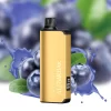 Alibarbar Ingot 20000 Blueberry Blast Disposable Vapes
