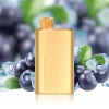 Alibarbar Rich 8000 Blueberry Ice Disposable Vapes