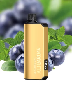 Alibarbar Ingot 9000 Blueberry Mint Disposable Vapes