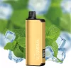 Alibarbar Ingot 20000 Cool Mint Disposable Vapes