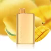 Alibarbar Rich 8000 MANGO MAGIC Disposable Vapes
