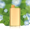 Alibarbar Rich 8000 Mint Breeze Disposable Vapes