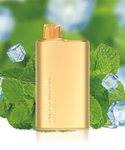 Alibarbar Rich 8000 Mint Breeze Disposable Vapes